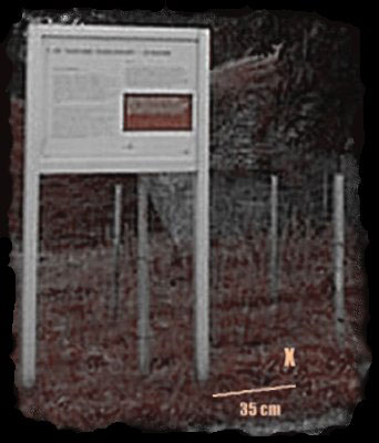 Let goed op de plek waar het voorwerp ligt begraven / Watch the spot where the object is buried