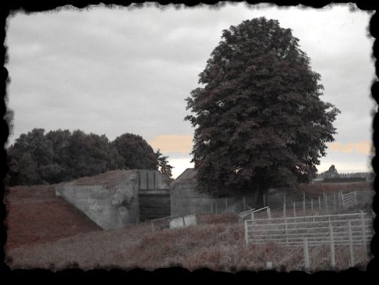 En wat ligt er achter de boom verscholen ?