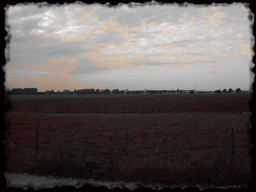 Welk gebouwencomplex ligt daar in de verte ?